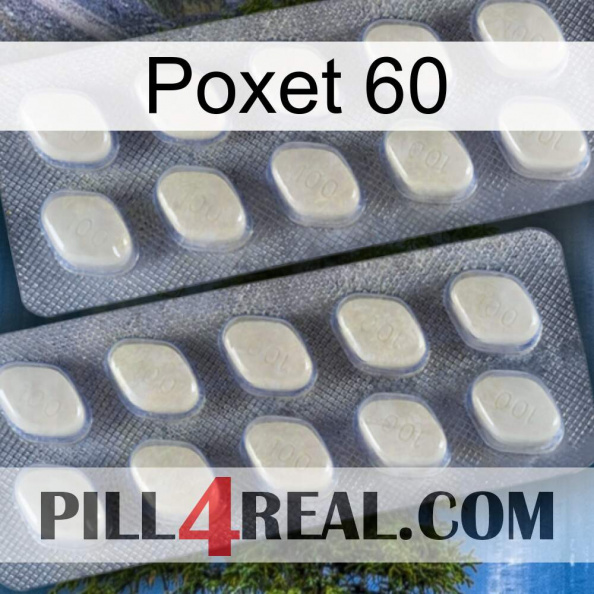 Poxet 60 07.jpg